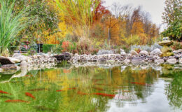 014 - hdr ueberdreht